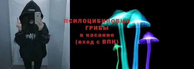 прущий лед Абаза