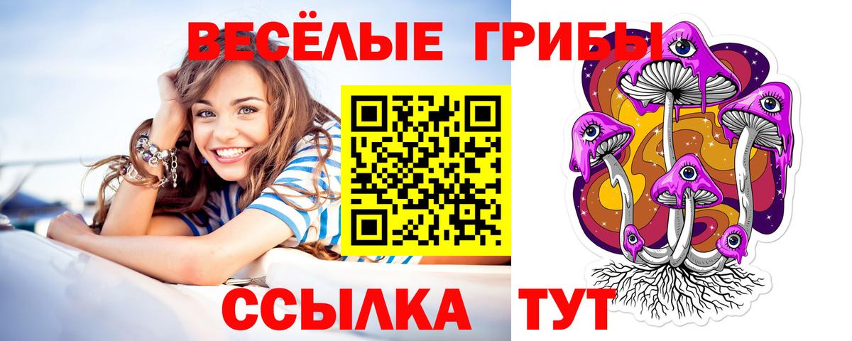 Нижнекамск  Псилоцибиновые грибы GOLDEN TEACHER  Вход с VPN  Псилоцибиновые грибы мицелий 