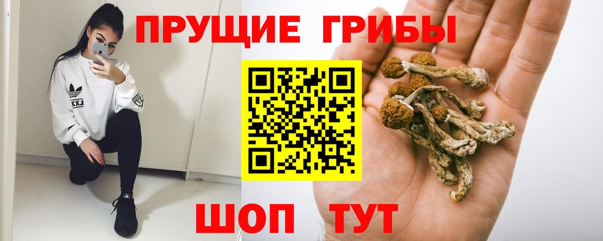 Псилоцибиновые грибы Cubensis Нижнекамск